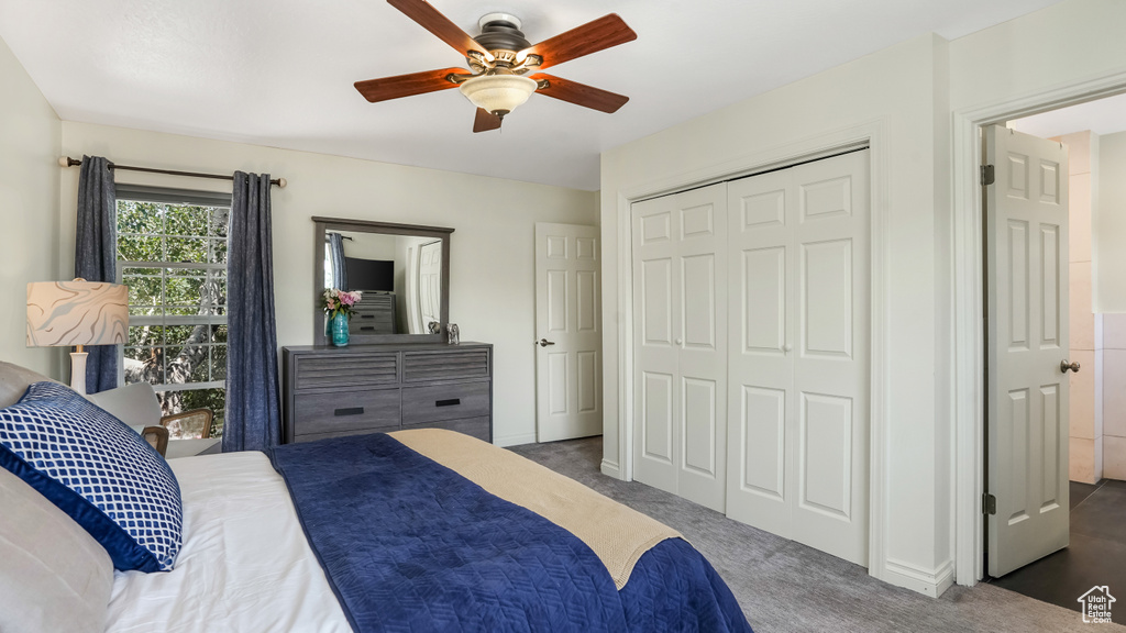 Carpeted bedroom featuring a closet and a ceiling fan