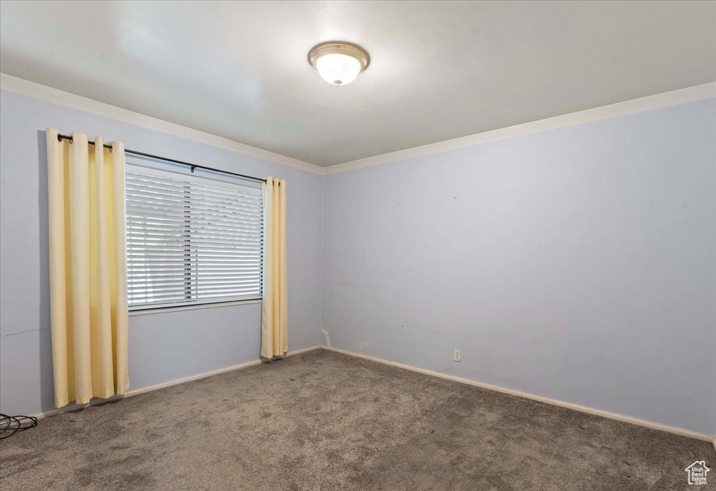 Unfurnished room featuring carpet floors and crown molding
