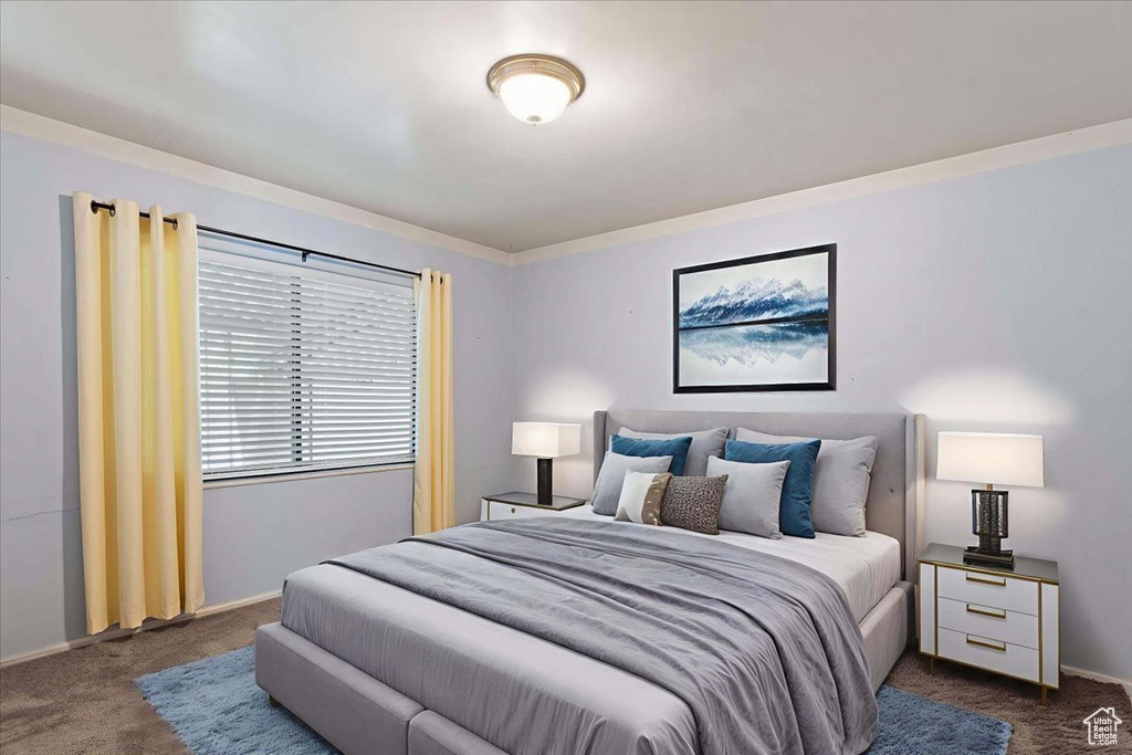 Bedroom with dark carpet