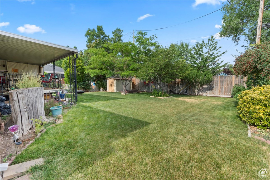 View of yard featuring a shed