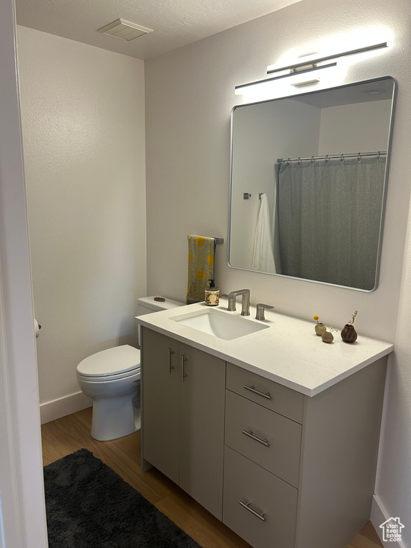 Bathroom with vanity and wood finished floors