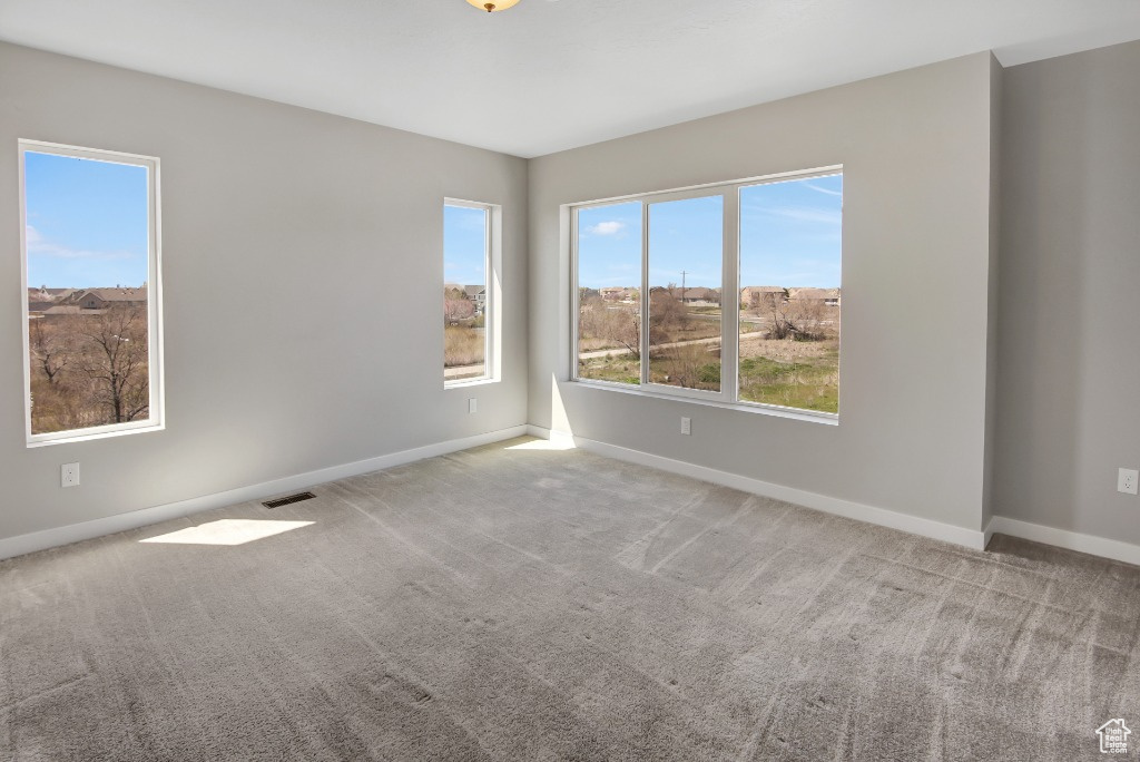 Carpeted spare room featuring plenty of natural light