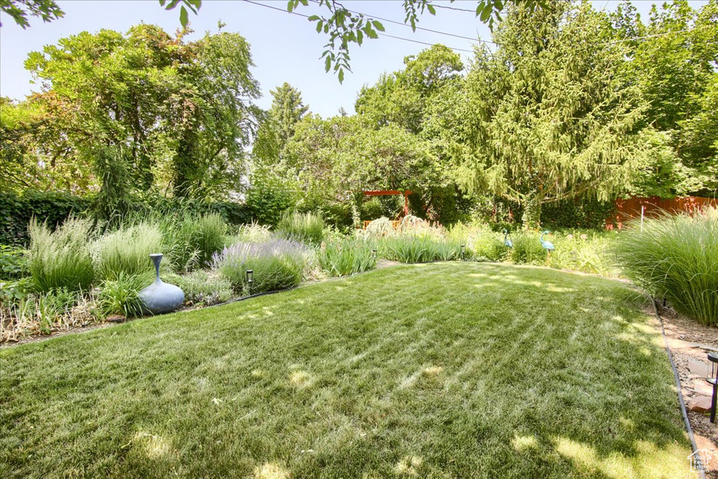 View of grassy yard