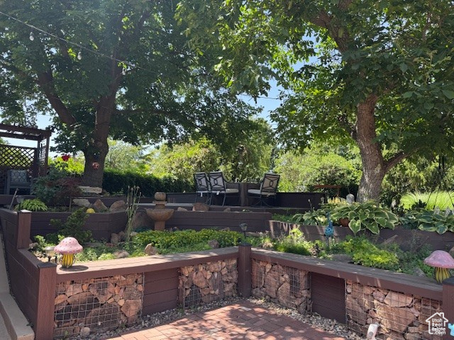 View of patio featuring a vegetable garden