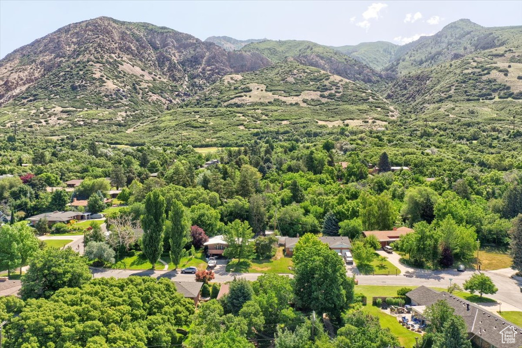 Mountain view