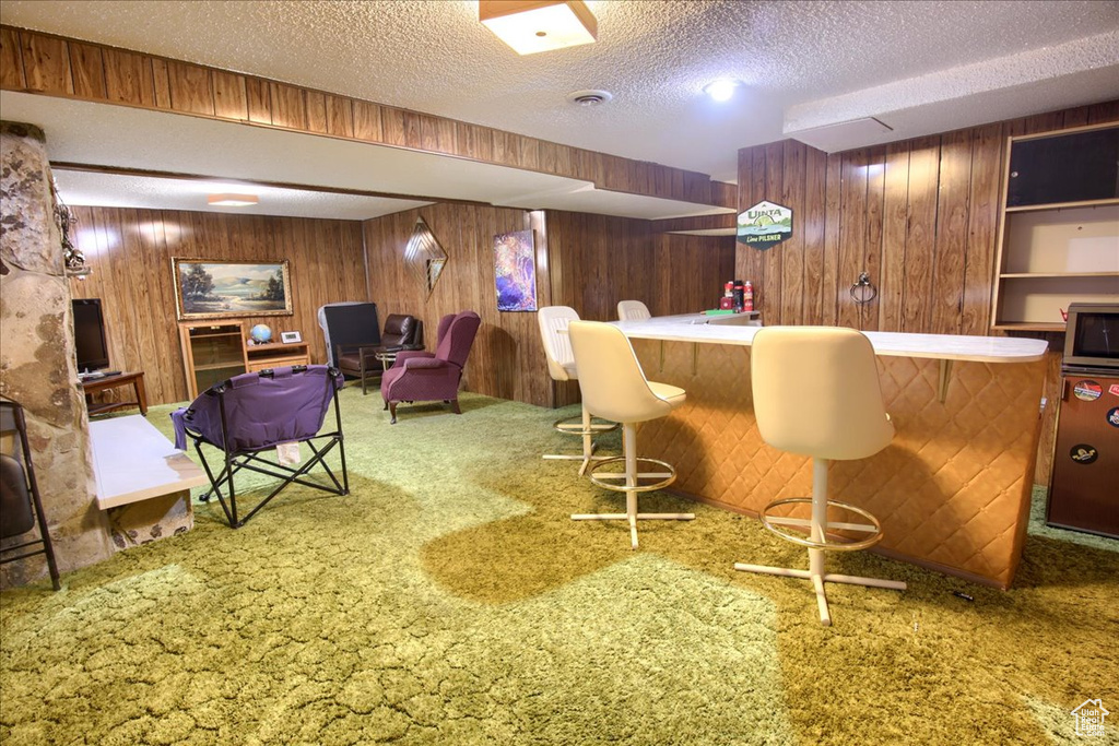 Indoor dry bar featuring carpet, a textured ceiling, and wood walls