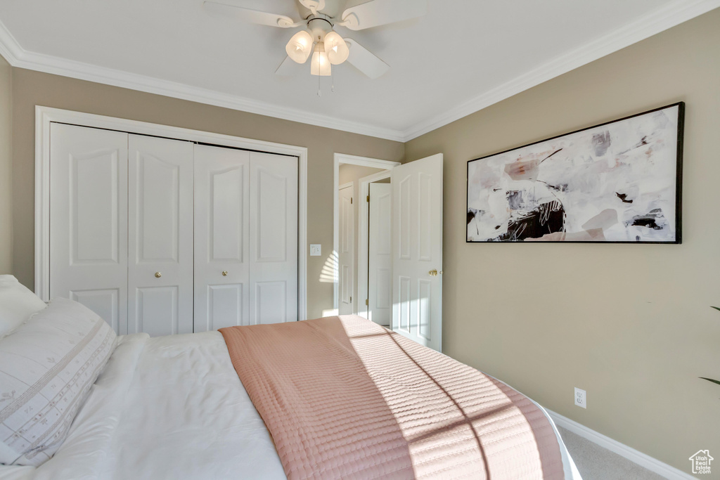 Bedroom with carpet flooring, a closet, ornamental molding, and a ceiling fan