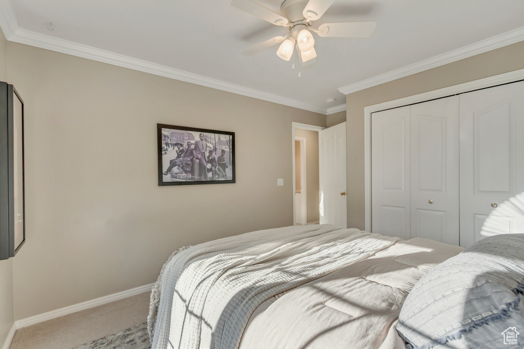 Carpeted bedroom featuring a closet, ornamental molding, and a ceiling fan