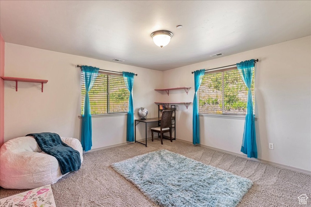 Carpeted bedroom with multiple windows