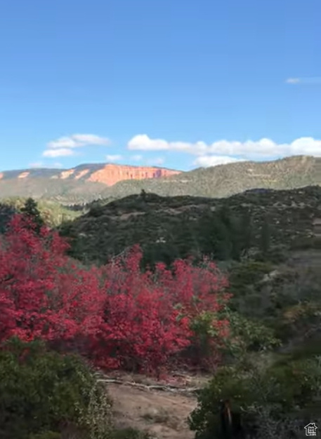  Duck Creek Village, UT 84762