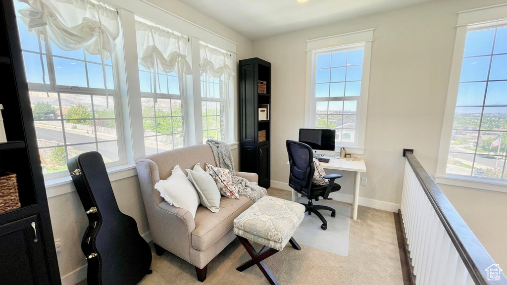 Office with healthy amount of natural light and light carpet