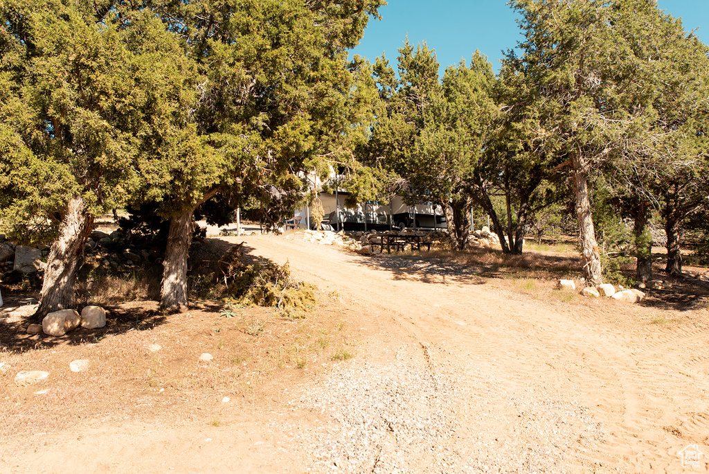 View of dirt / gravel road