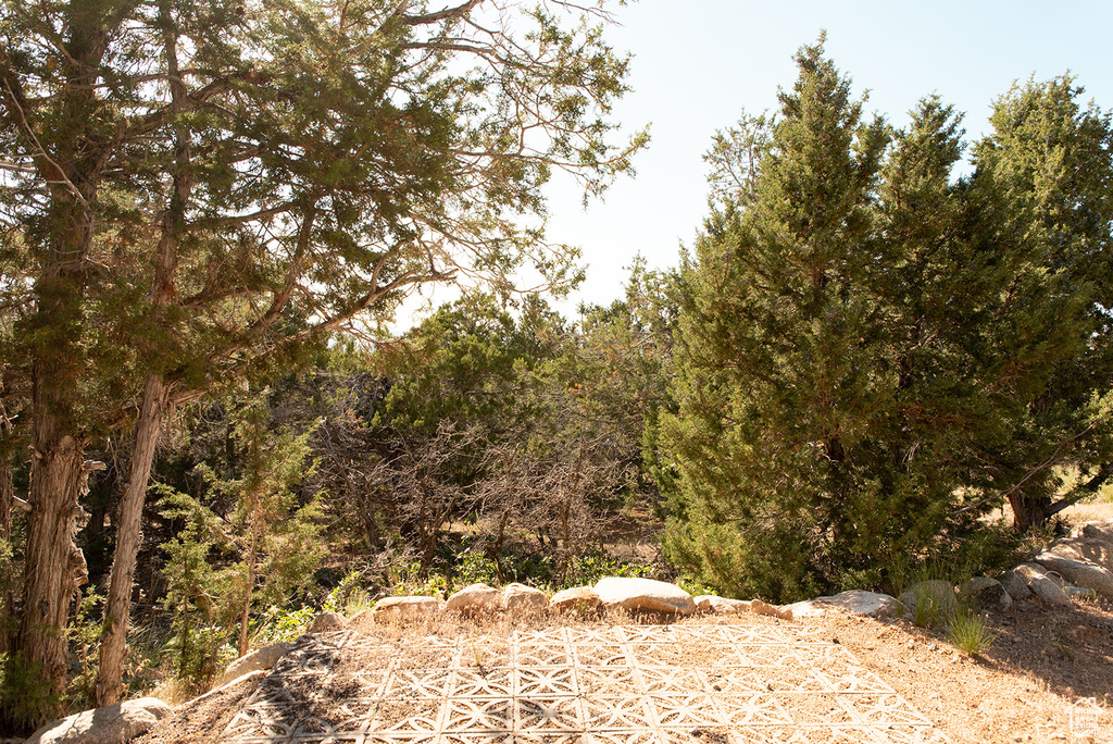 View of undeveloped land