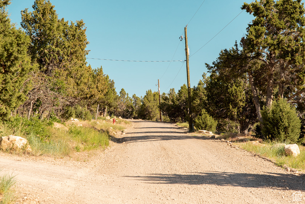 View of dirt / gravel road