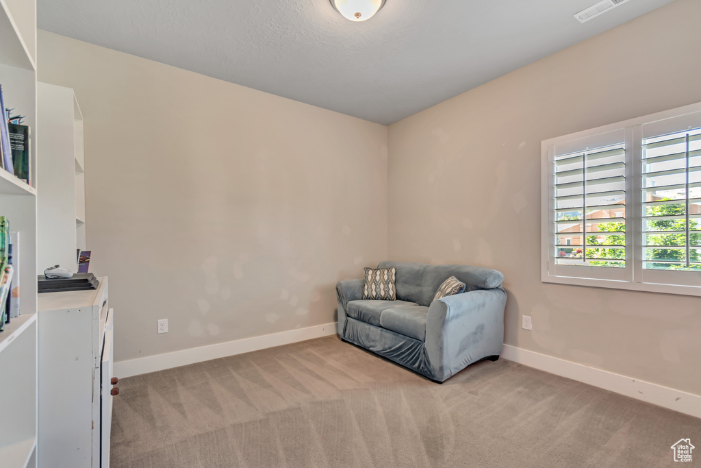 Sitting room with light carpet