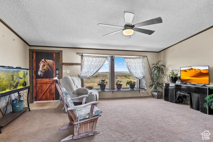 Carpeted living room featuring a textured ceiling, crown molding, and a ceiling fan