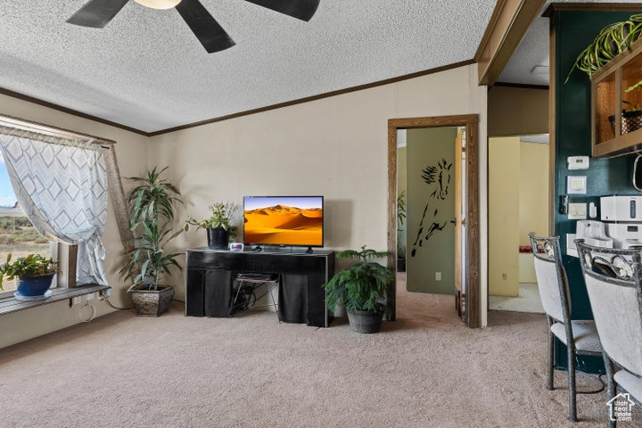 Carpeted living room with ornamental molding, a ceiling fan, a textured ceiling, and vaulted ceiling