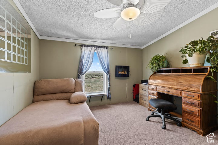 Carpeted home office with ornamental molding, a textured ceiling, and a ceiling fan