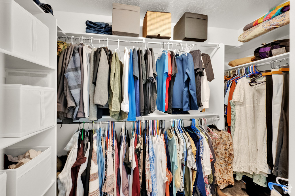 View of walk in closet