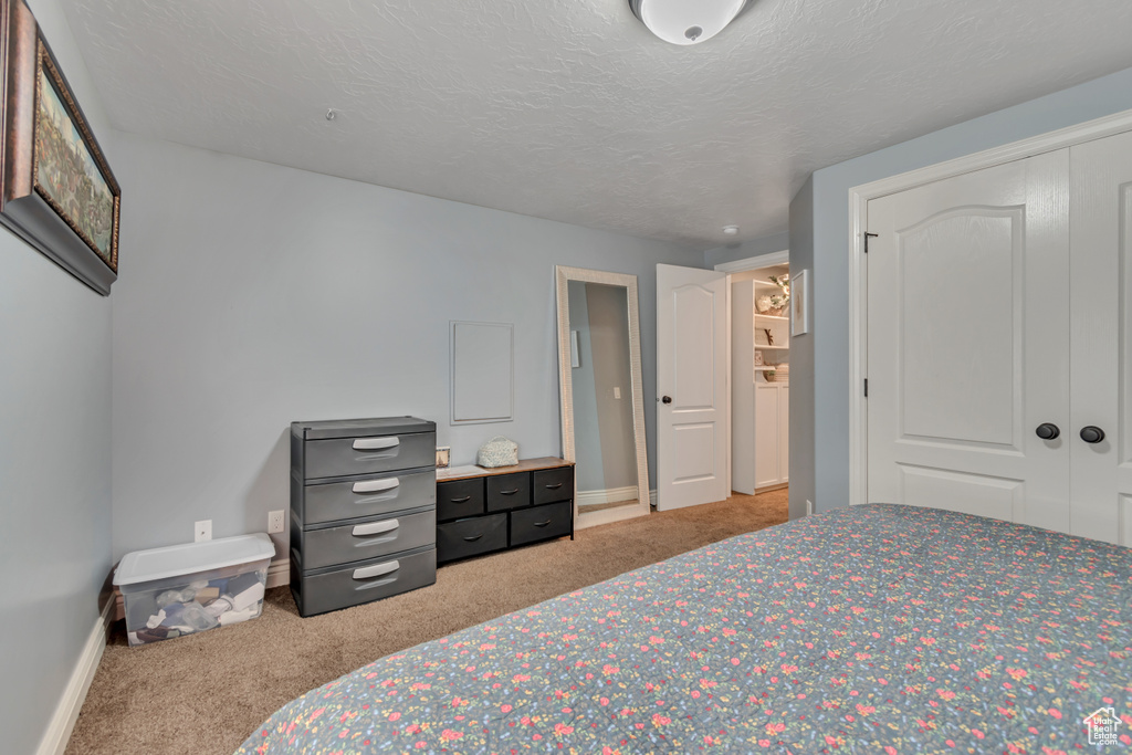 Bedroom featuring carpet floors and a closet
