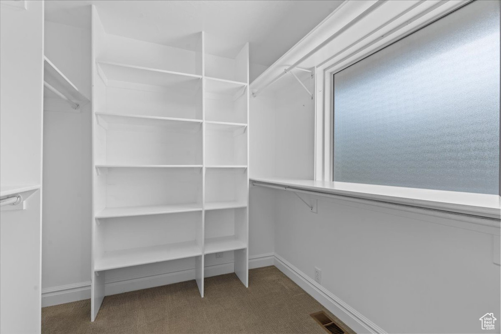 Walk in closet featuring carpet floors