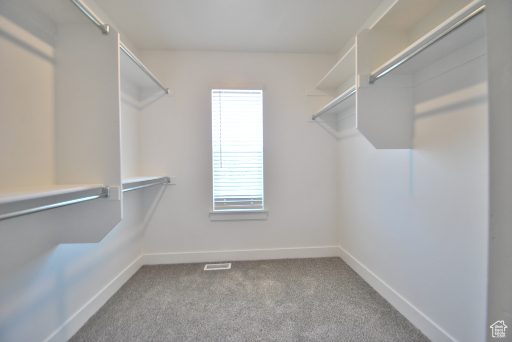 Walk in closet featuring carpet flooring
