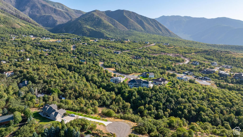 Aerial view with a mountain view