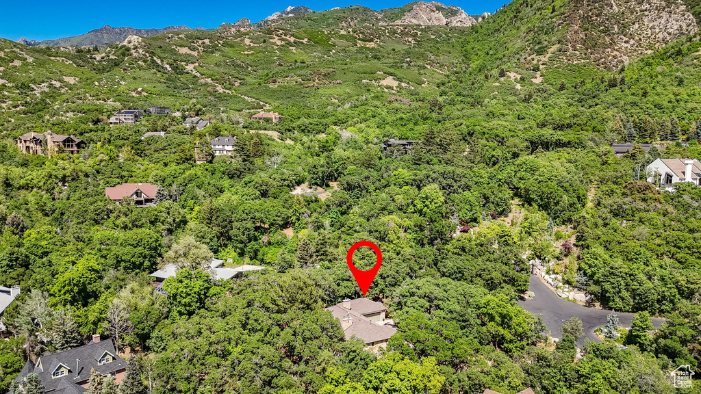 Aerial view of a forest and a mountainous background