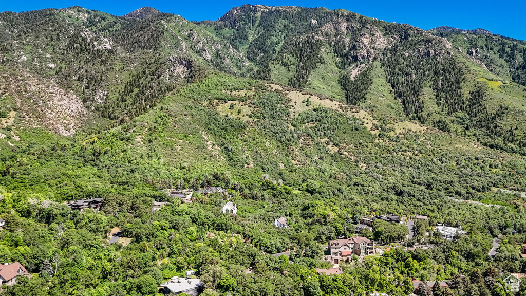 View of mountain backdrop featuring a forest