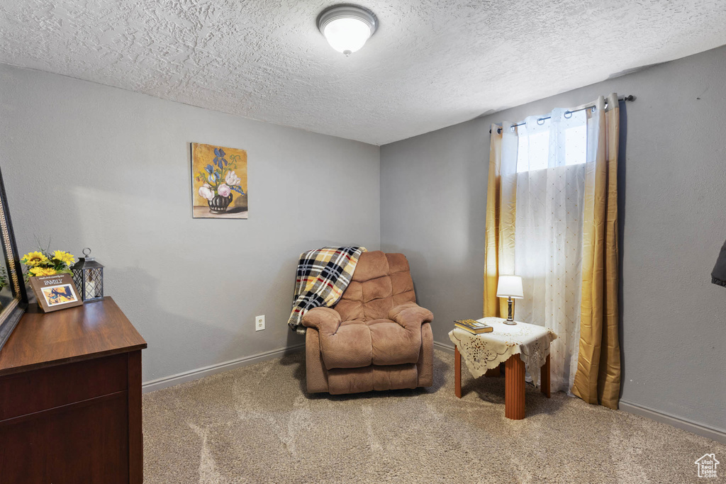 Living area with a textured ceiling and carpet floors