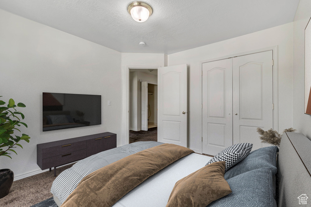 Bedroom with carpet flooring and a closet