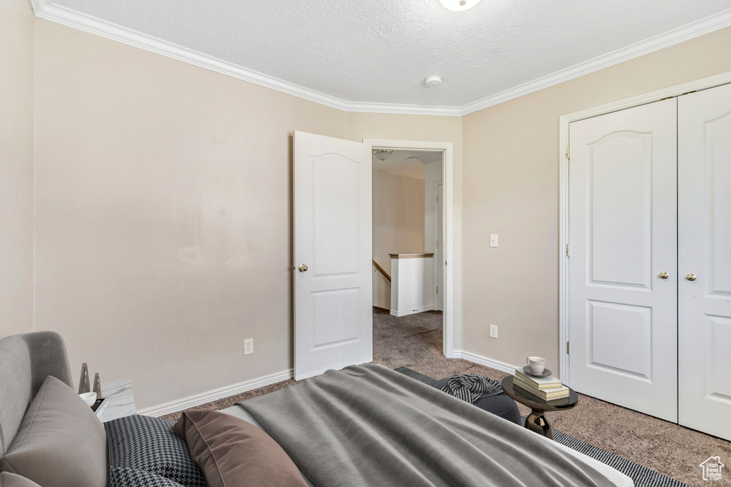 Bedroom featuring ornamental molding, carpet, a textured ceiling, and a closet