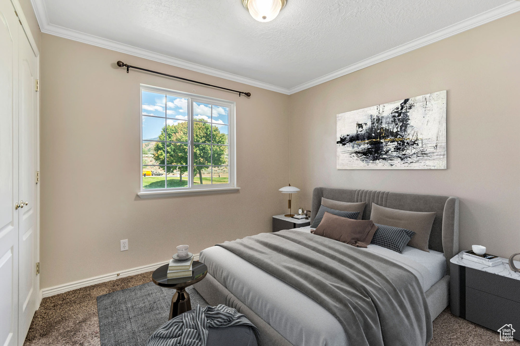 Carpeted bedroom with ornamental molding