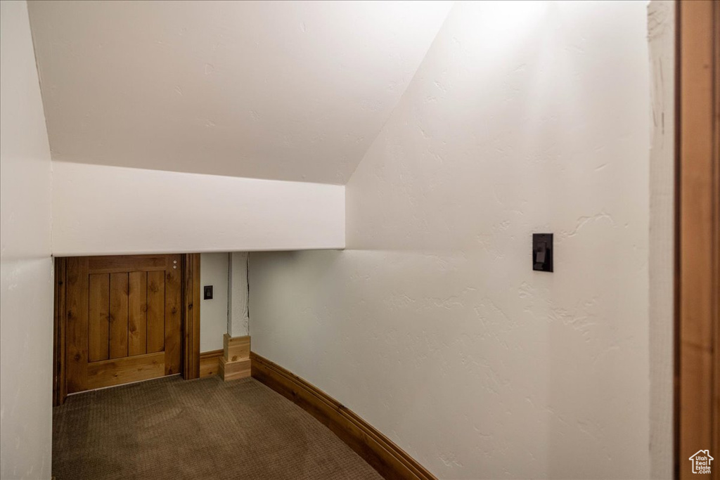 Additional living space featuring carpet floors and vaulted ceiling