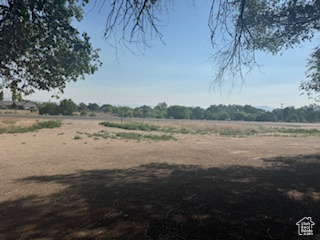 View of yard with a rural view