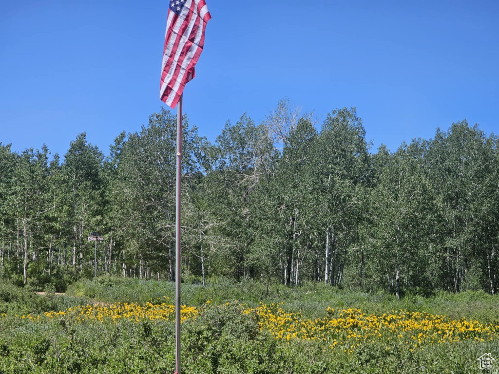 Exterior view of a forest