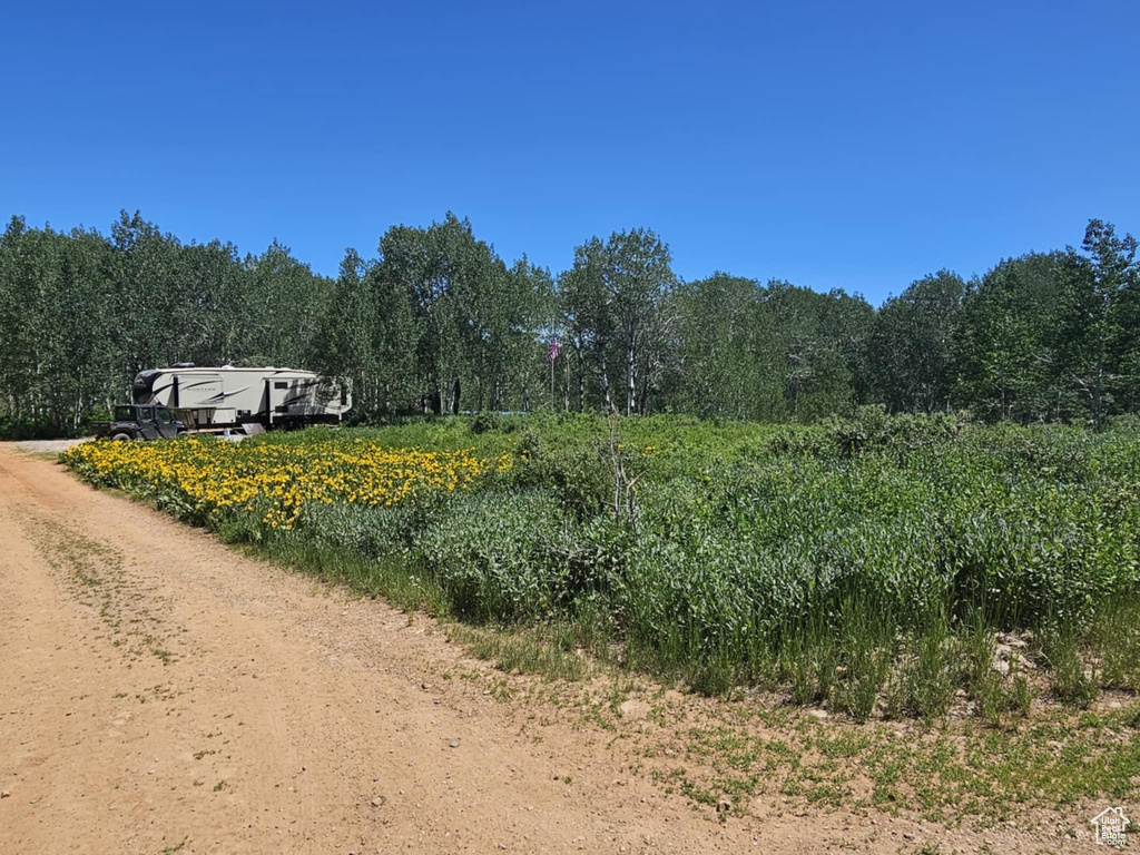 View of dirt / gravel road featuring a view of trees