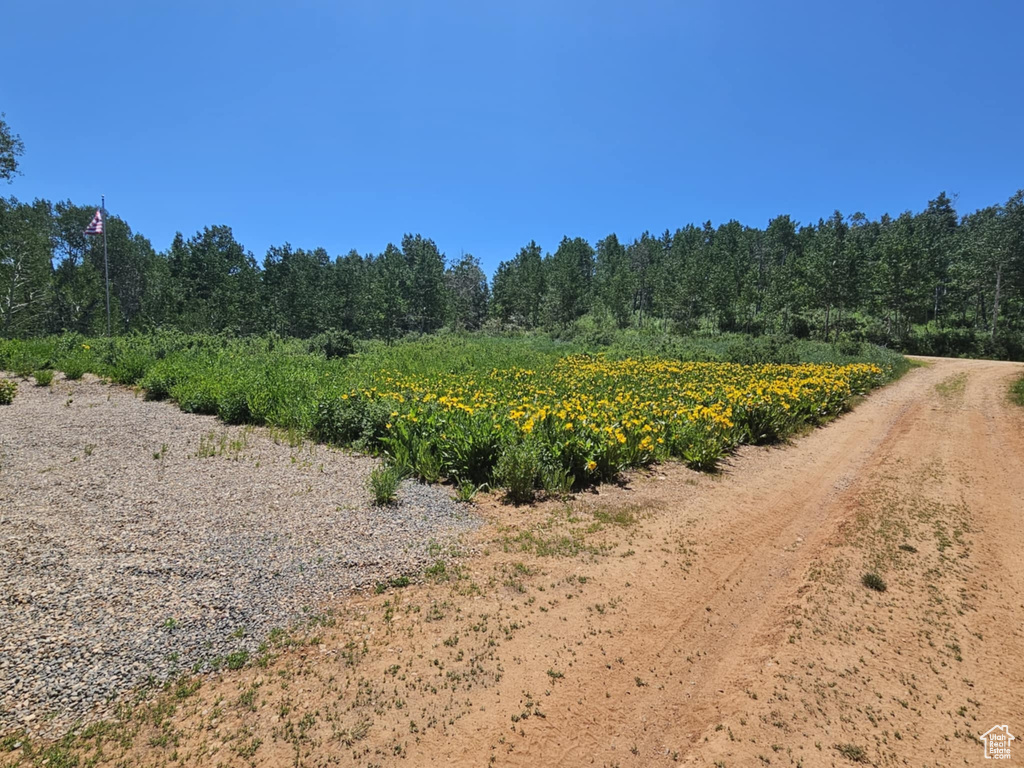 View of undeveloped land