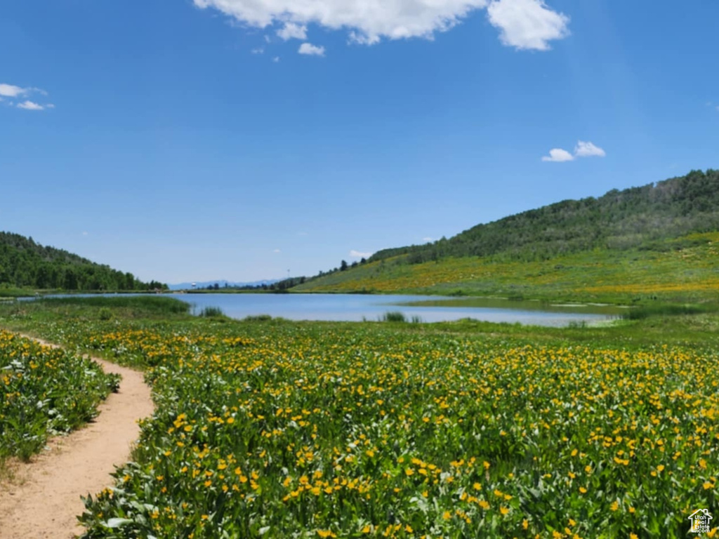 Water view with a mountainous background