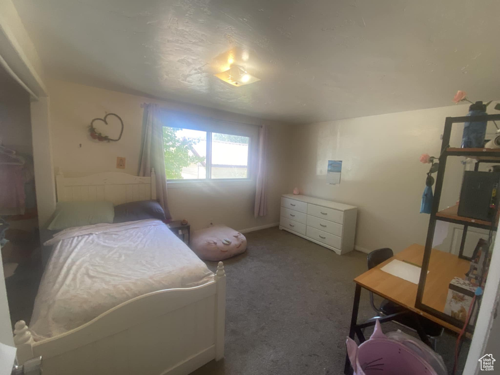 Bedroom featuring carpet floors