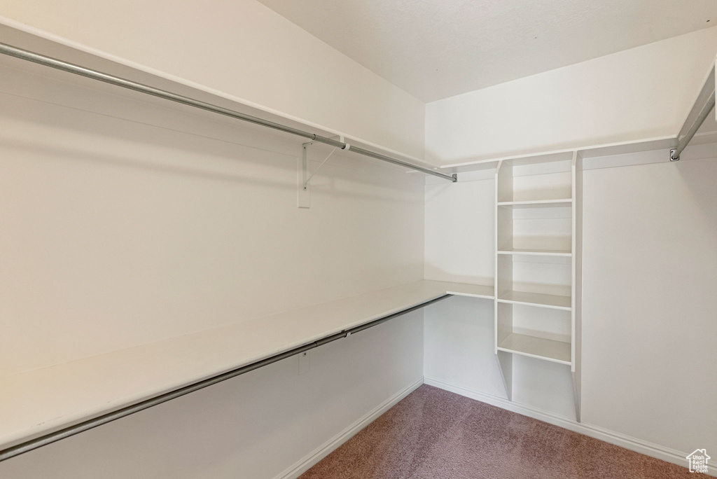 Spacious closet featuring carpet