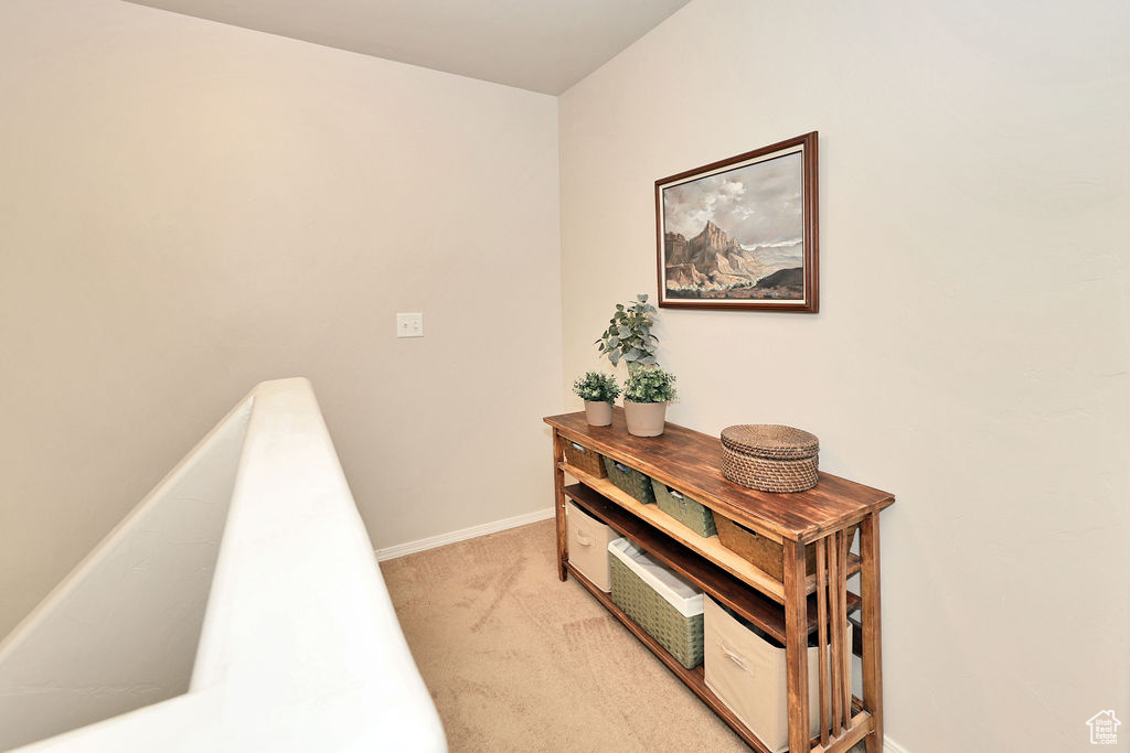 12797 S SNOW FLOWER CT Riverton, UT 84096