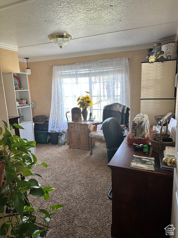 Office area featuring carpet flooring, crown molding, and a textured ceiling