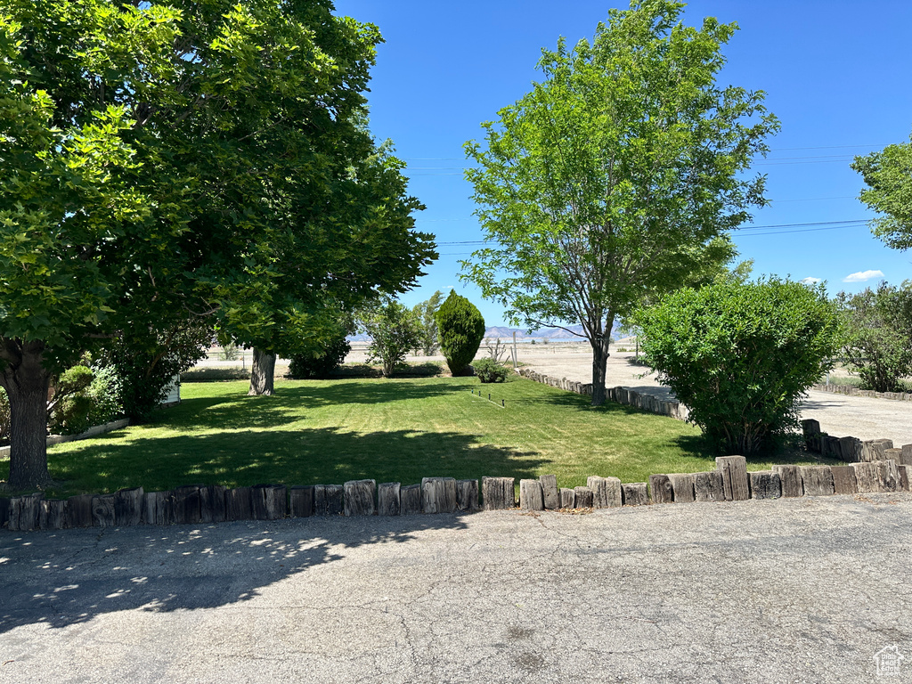 View of grassy yard