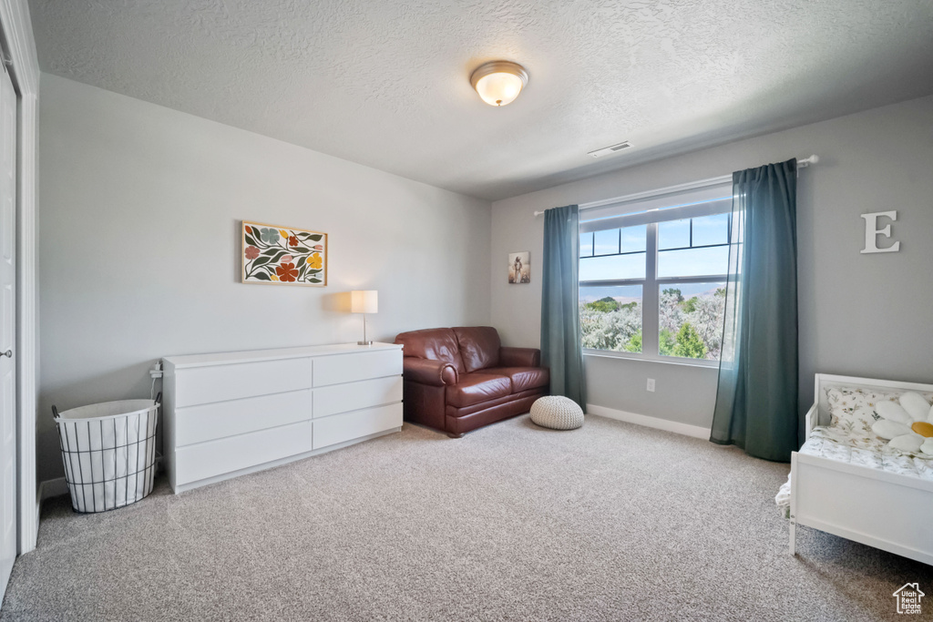 Bedroom featuring a textured ceiling and carpet