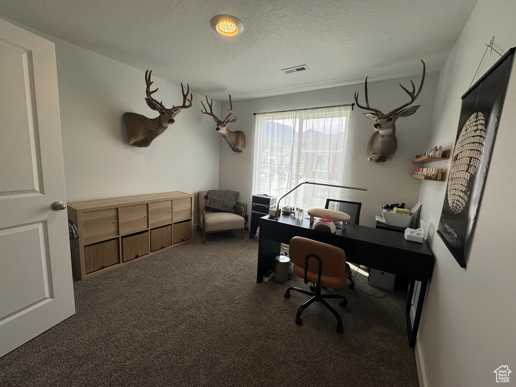 1111 W HIDDEN SPRING DR Santaquin, UT 84655