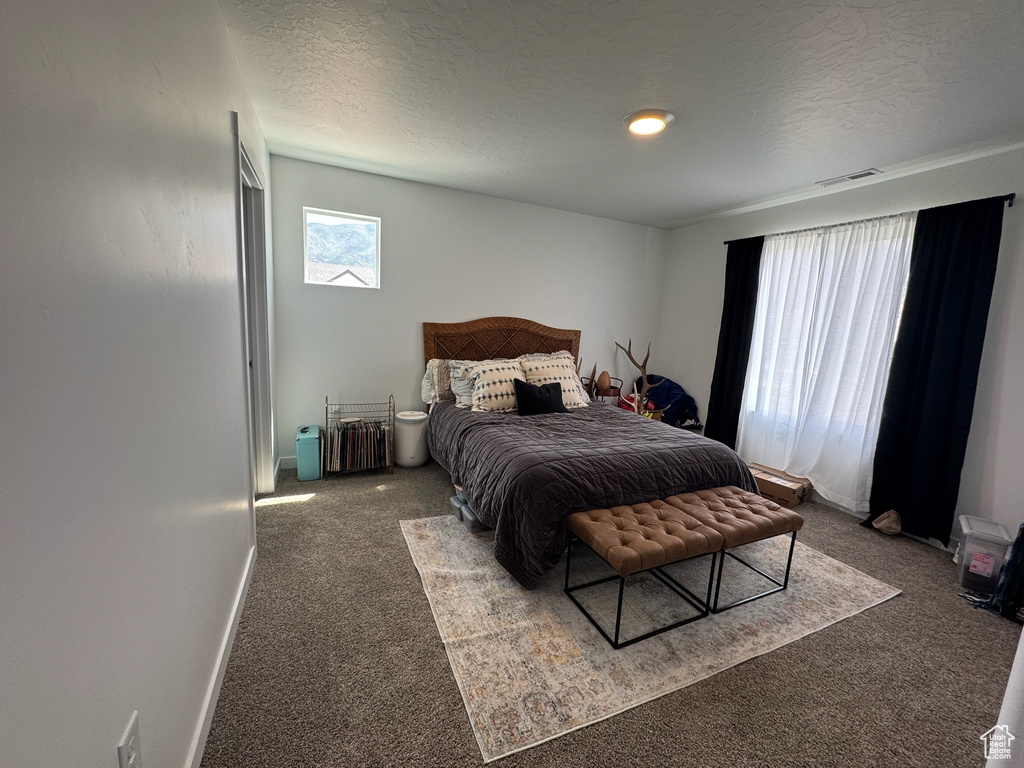 1111 W HIDDEN SPRING DR Santaquin, UT 84655