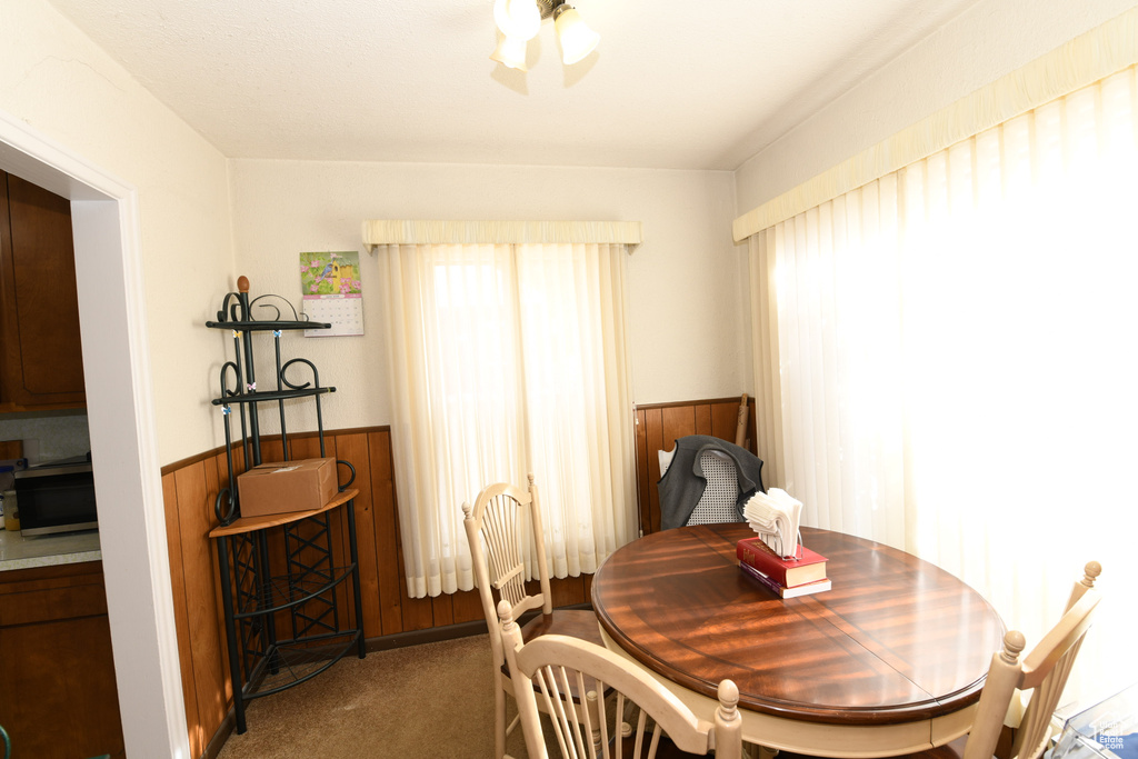 Dining room with a wainscoted wall, carpet, and wood walls