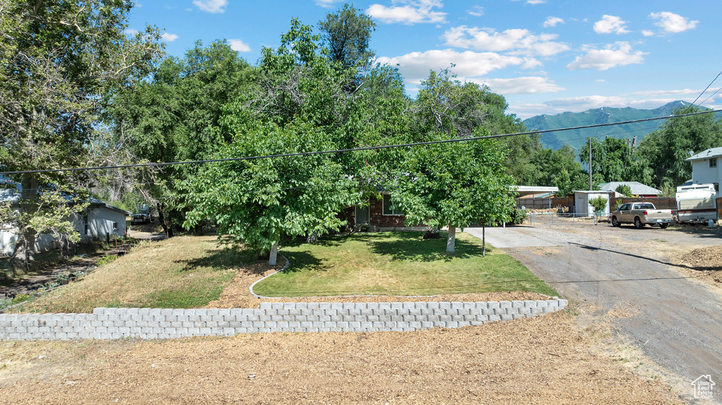 View of property hidden behind natural elements with a front yard, a mountain view, and driveway