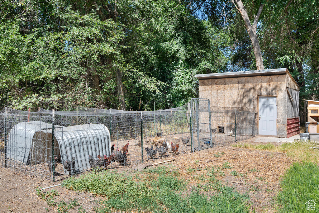 View of yard with exterior structure and an outbuilding